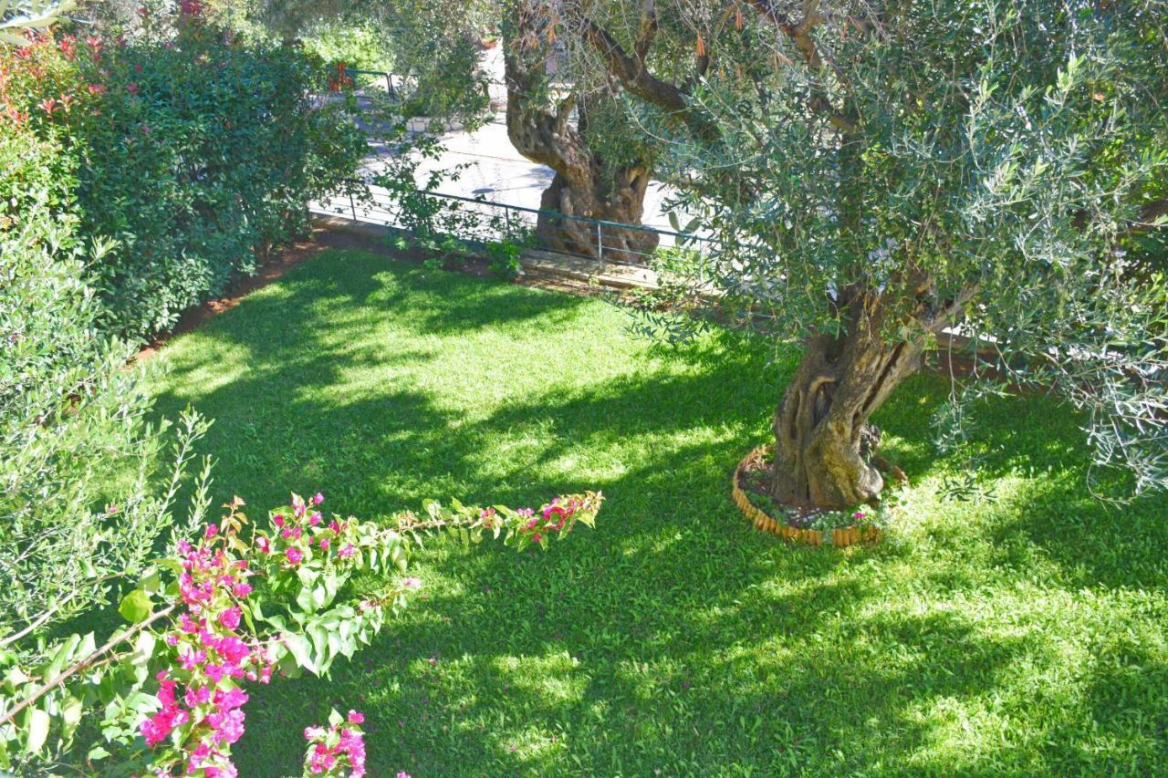 Pebbles And Sea At Barbati With Shared Pool Apartman Kültér fotó